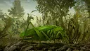 Insect Worlds Demo Screenshot 1