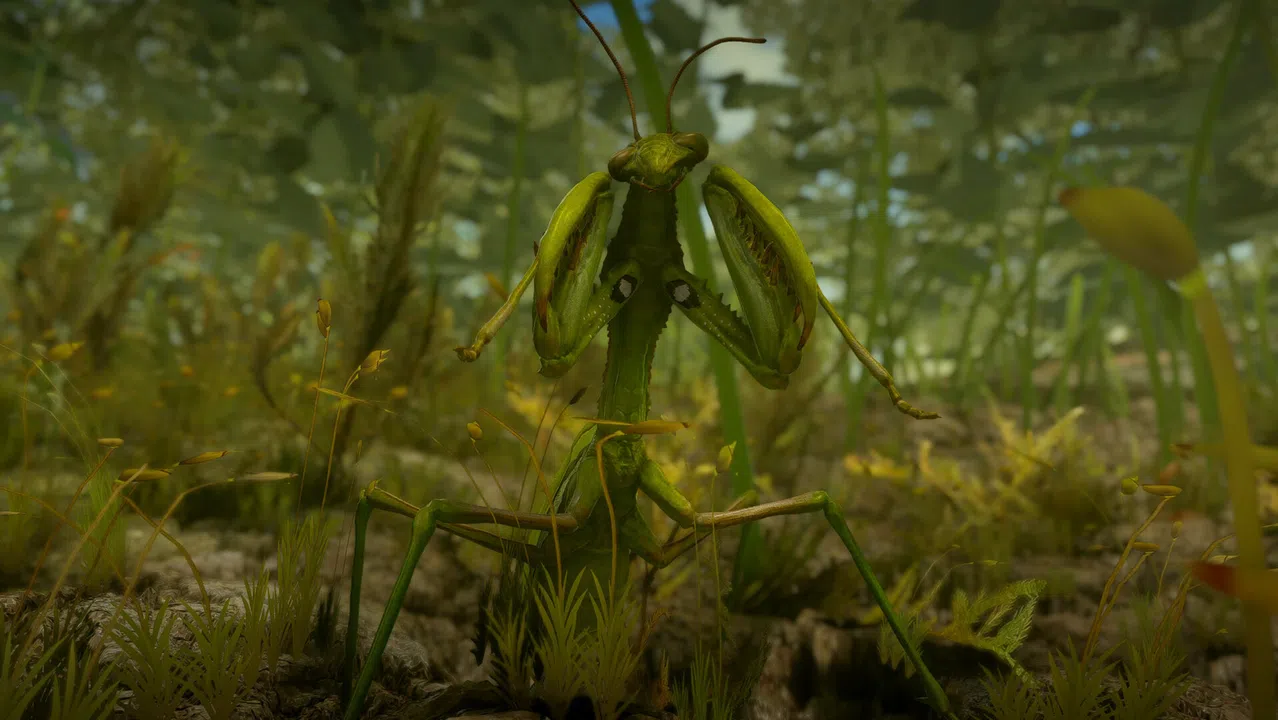 Insect Worlds Demo Screenshot 8