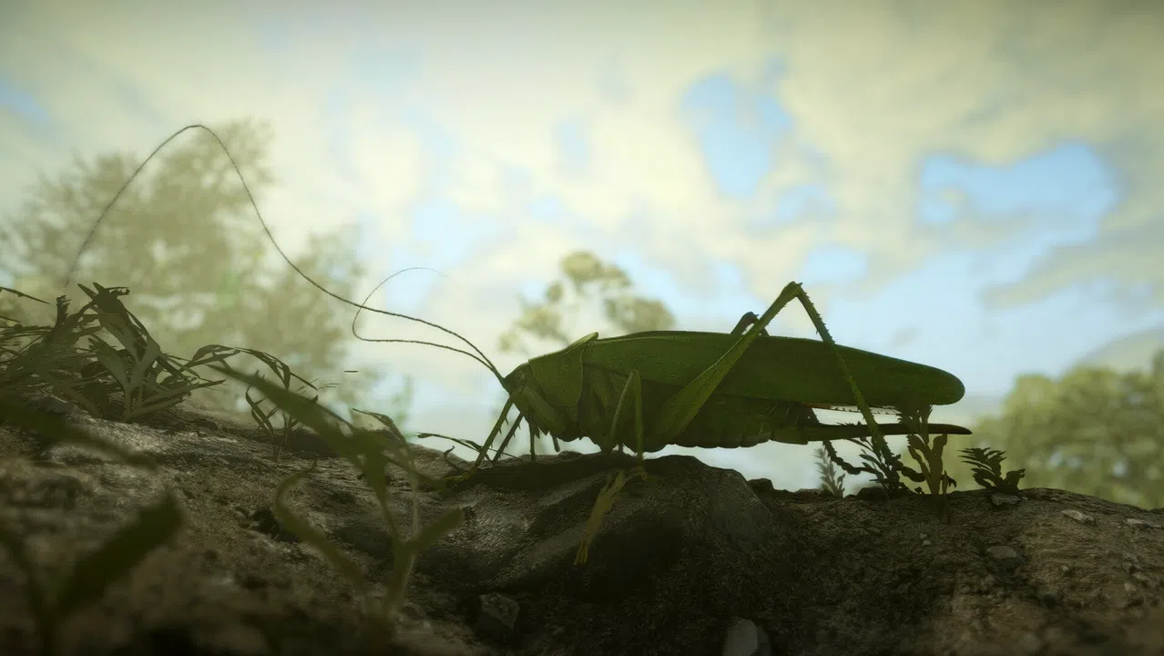 Insect Worlds Demo Screenshot 10