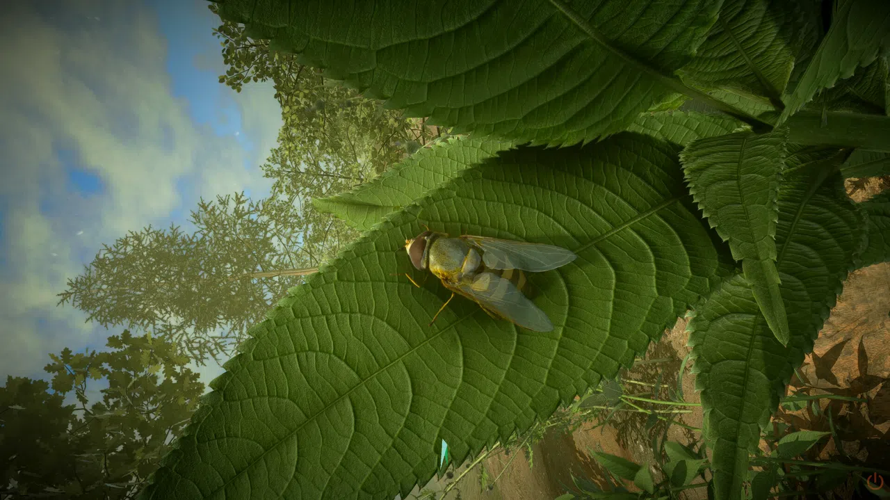 Insect Worlds Demo Screenshot 6