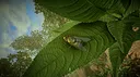 Insect Worlds Demo Screenshot 6