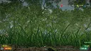 Insect Worlds Demo Screenshot 12