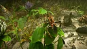Insect Worlds Demo Screenshot 0