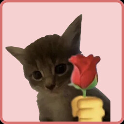 Give flowers to women icon