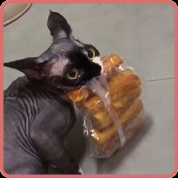 Me, and my son too icon