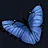 You give me butterflies!