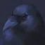 Wildlife rescue icon
