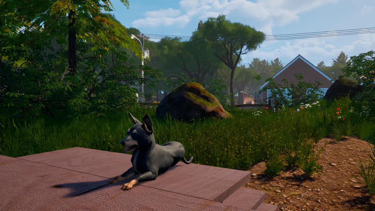The Creator - Supporter Pack Screenshot 3