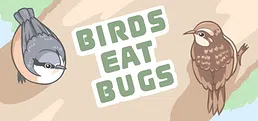 Birds Eat Bugs Playtest