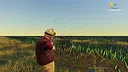 Birdshot Screenshot 1