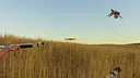 Birdshot Screenshot 0