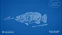 Ultimate Fishing® Simulator - Thailand DLC Screenshot 8