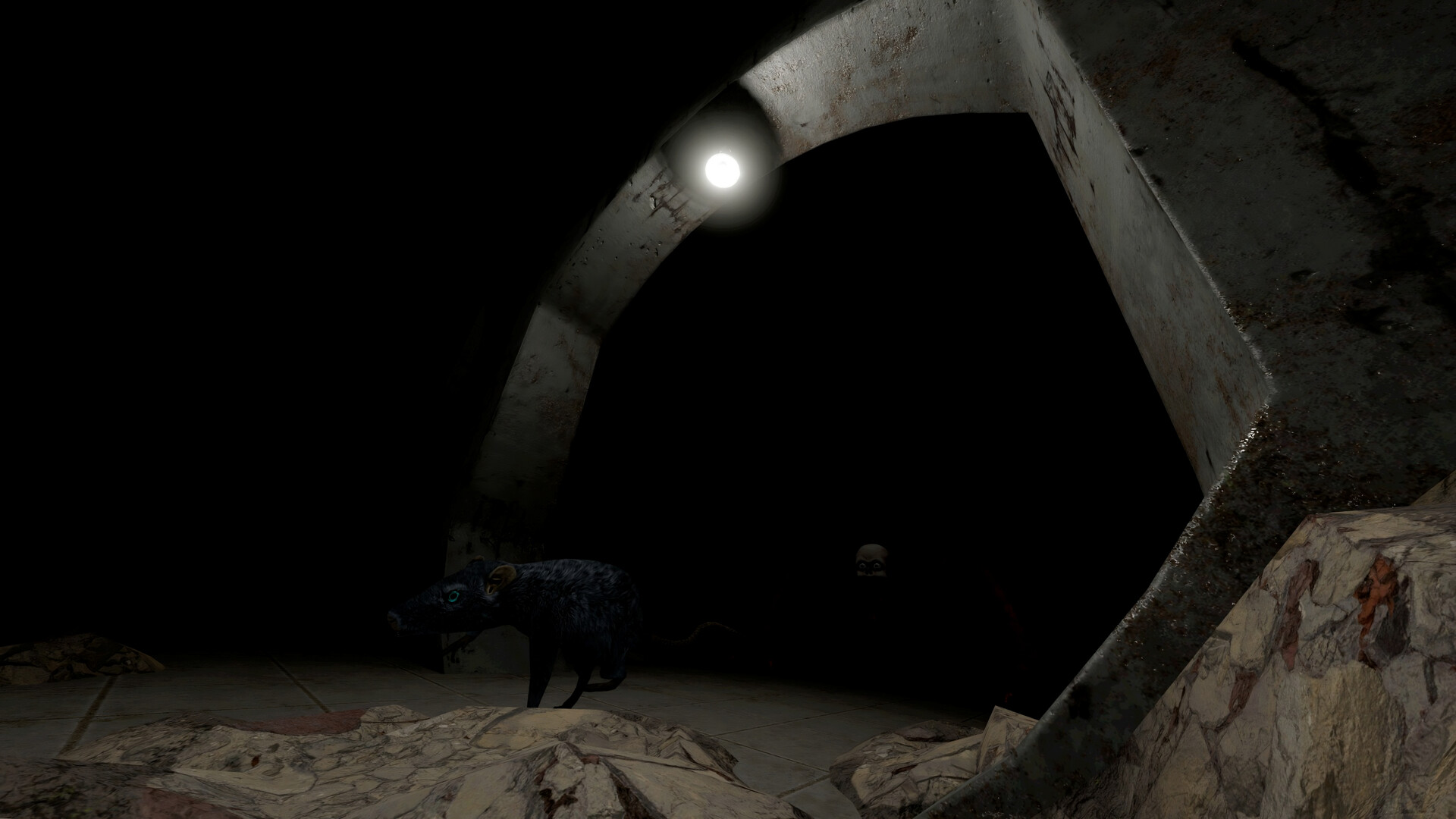 Scamper Screenshot 2