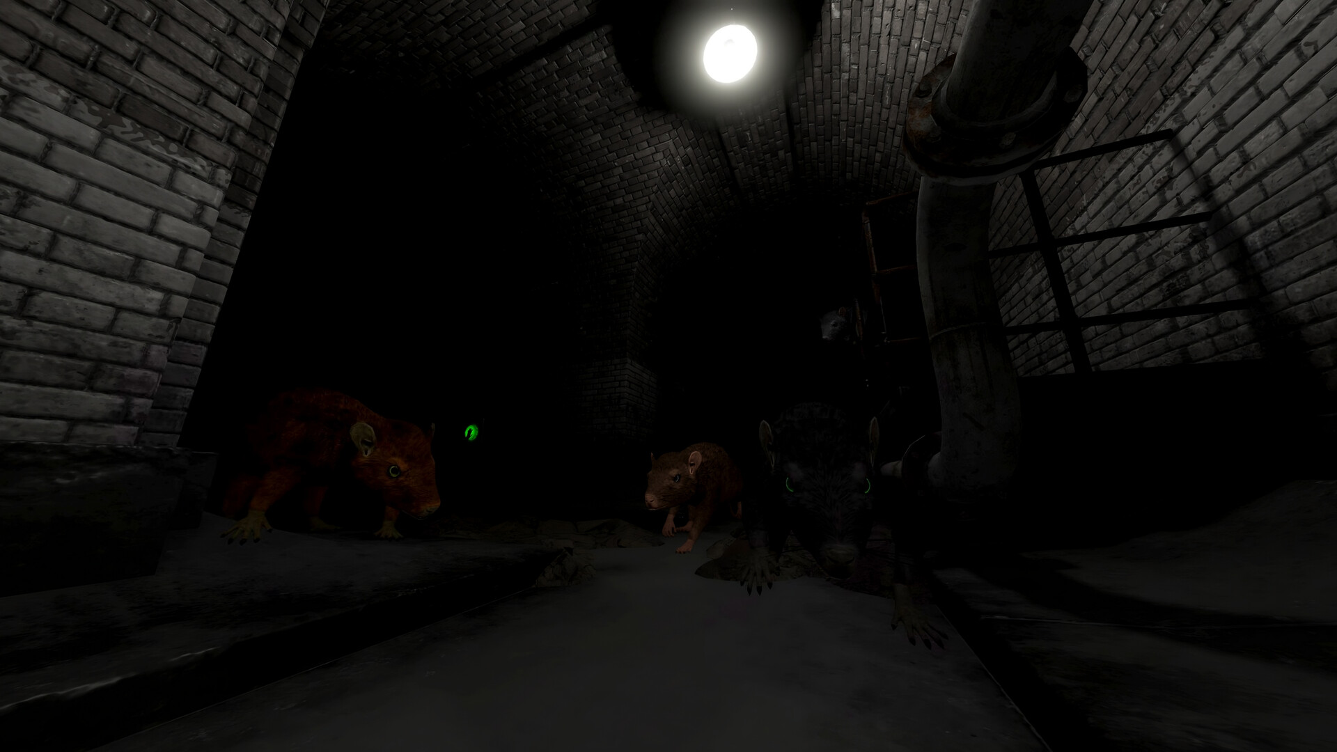 Scamper Screenshot 1