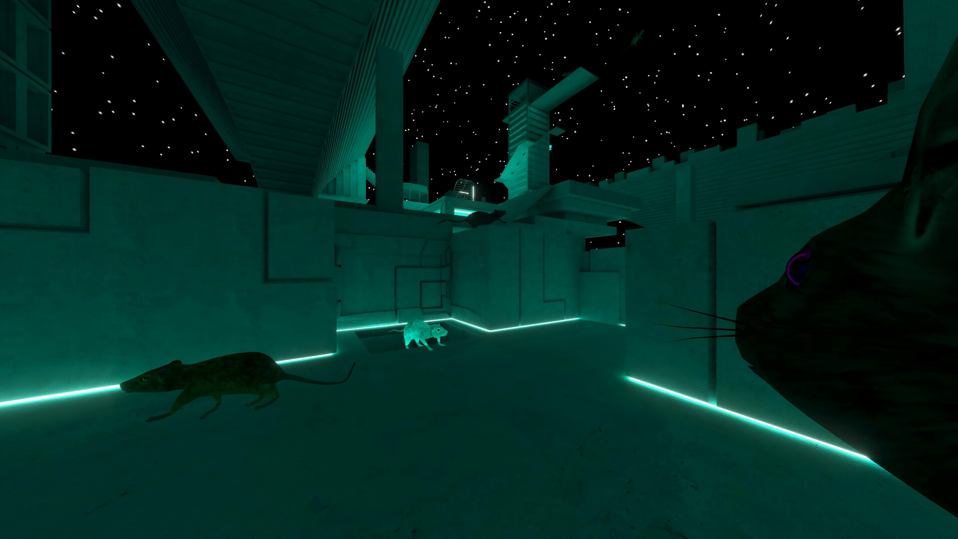 Scamper Screenshot 4