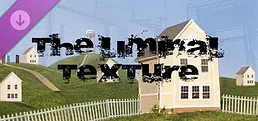 The Liminal Texture - Missing Texture