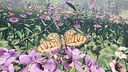 Butterfly Skins - Drunk On Nectar Screenshot 17