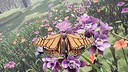 Butterfly Skins - Drunk On Nectar Screenshot 0