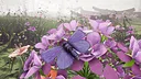 Butterfly Skins - Drunk On Nectar Screenshot 9