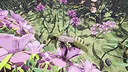 Butterfly Skins - Drunk On Nectar Screenshot 10