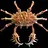 King Crustacean