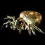 Spider Slayer icon
