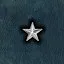 Deputy Chief icon