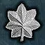 Deputy Inspector icon