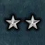 Assistant Chief icon