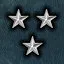 Chief icon