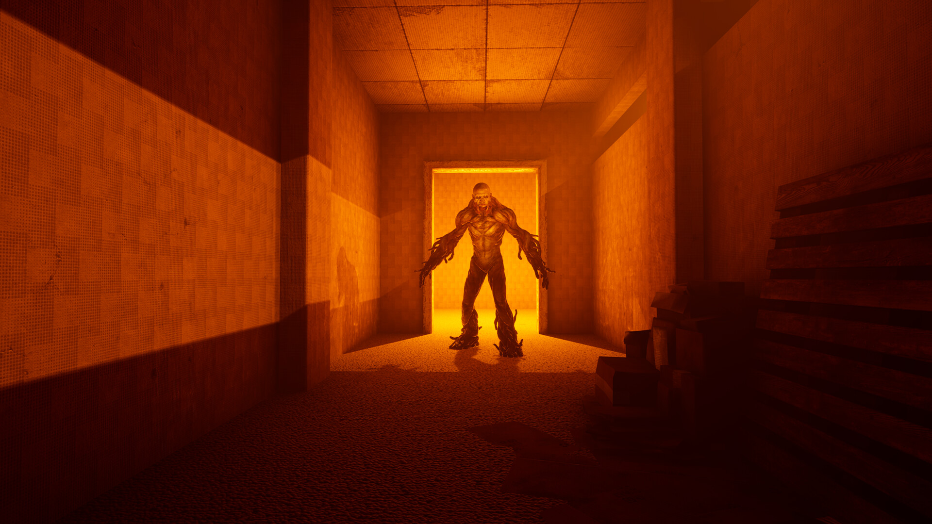 BACKROOMS: APPREHENSION Screenshot 3