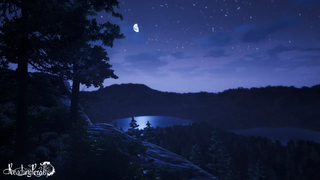 Reaching for Petals: VR Edition Screenshot 5
