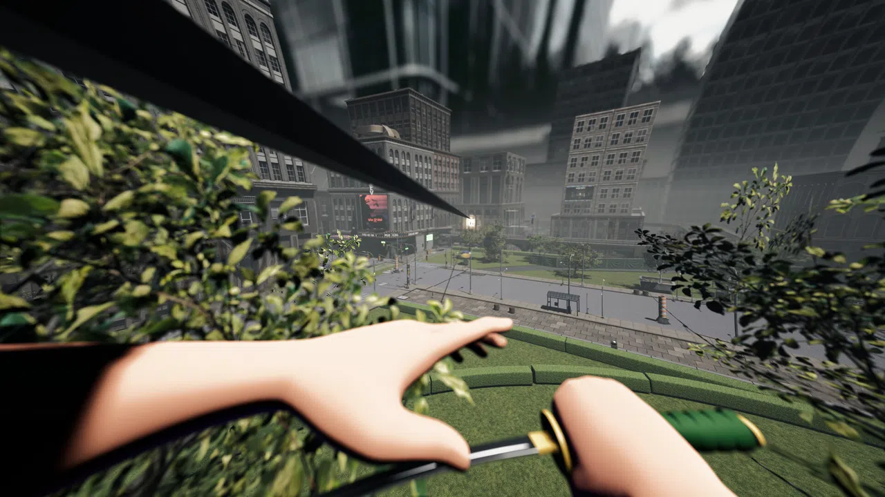 The Last of RAM Screenshot 1