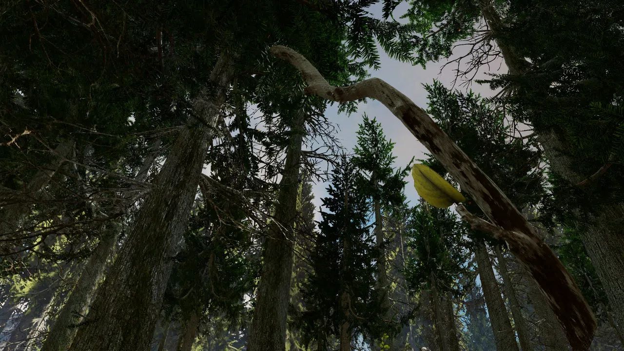 Shinrin-yoku: Forest Meditation and Relaxation Screenshot 4