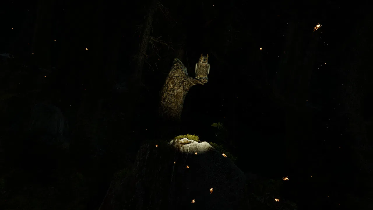 Shinrin-yoku: Forest Meditation and Relaxation Screenshot 1