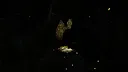 Shinrin-yoku: Forest Meditation and Relaxation Screenshot 1