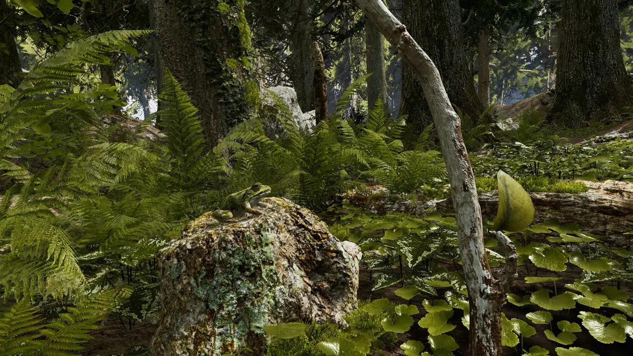 Shinrin-yoku: Forest Meditation and Relaxation Screenshot 0