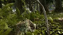 Shinrin-yoku: Forest Meditation and Relaxation Screenshot 0