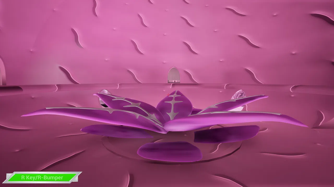 Vectromirror™ Screenshot 10