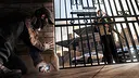 Watch_Dogs - Access Granted Pack Screenshot 1
