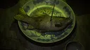 The Grotto Diary Demo Screenshot 1