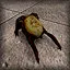 Antidote icon