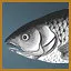 Something is fishy here icon