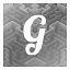 G icon