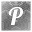 P icon