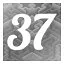 Level 37 icon