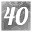 Level 40 icon