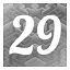 Level 29 icon