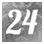 Level 24 icon
