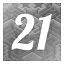 Level 21 icon